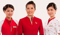 Flight Attendant
